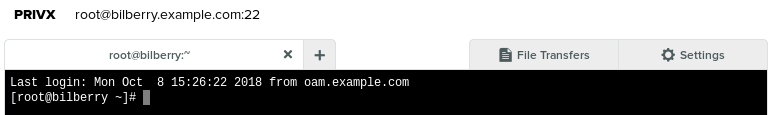 Root terminal prompt at the target host