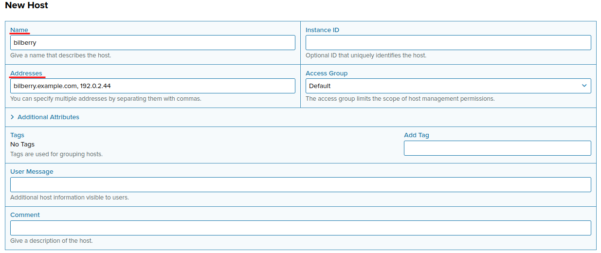Setting name and address of a new host